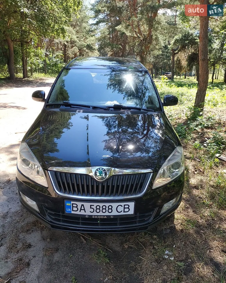 2010 Skoda Roomster - мініатюра 11