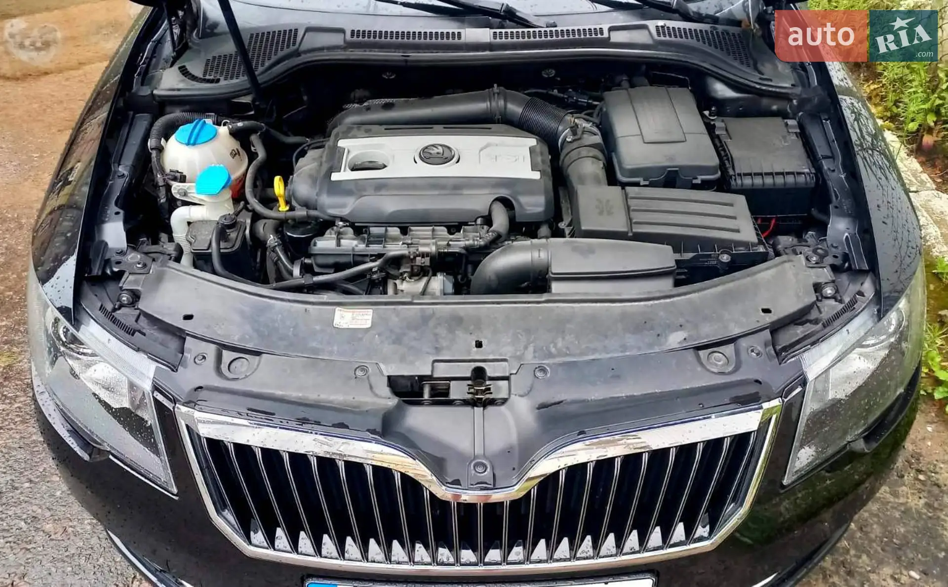 2014 Skoda Superb - мініатюра 13
