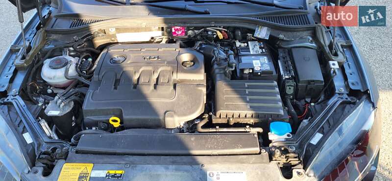 Универсал Skoda Superb 2019 в Ужгороде фото 47 Универсал Skoda Superb 2019 в Ужгороде