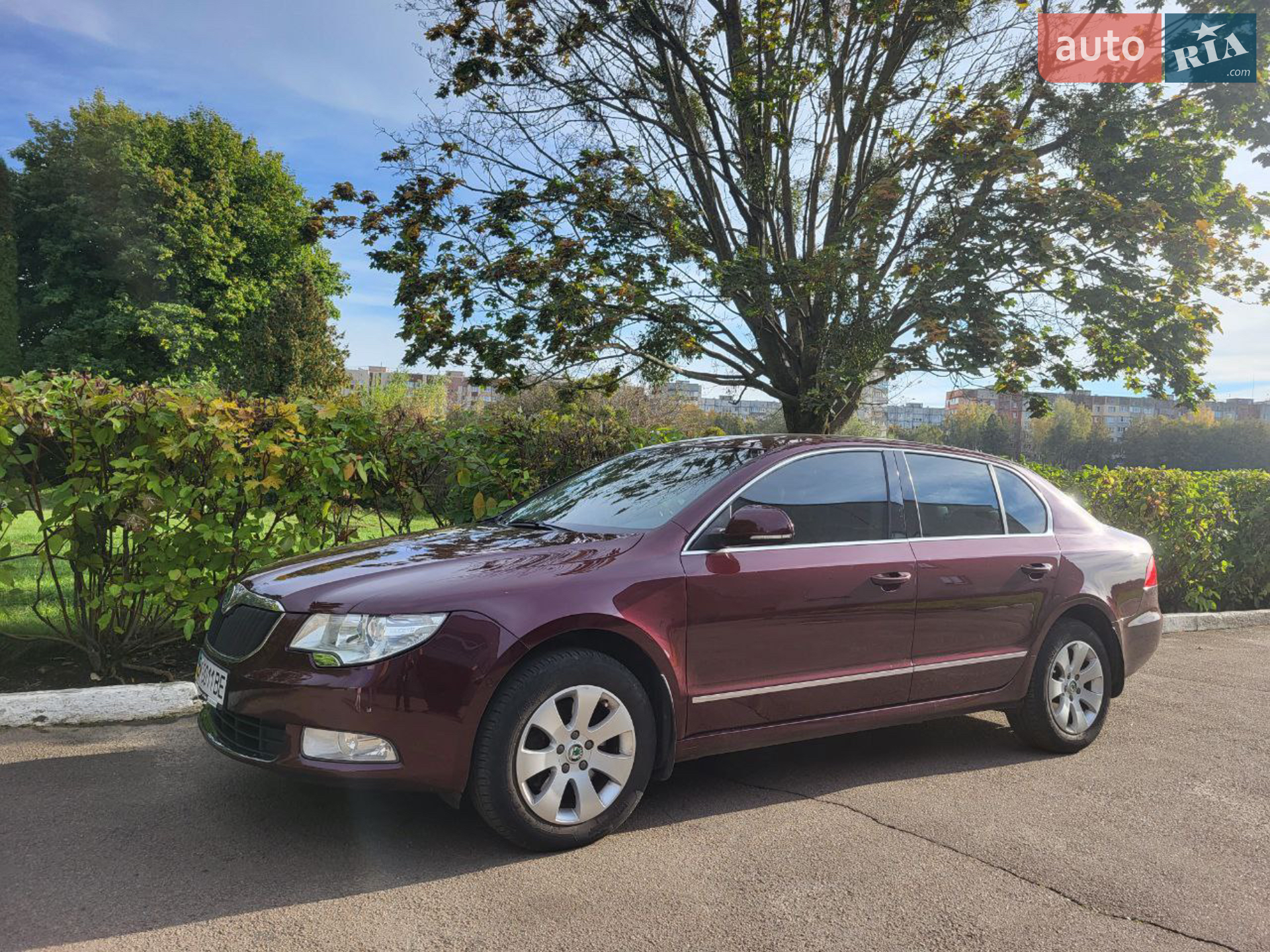 2012 Skoda Superb - мініатюра 3