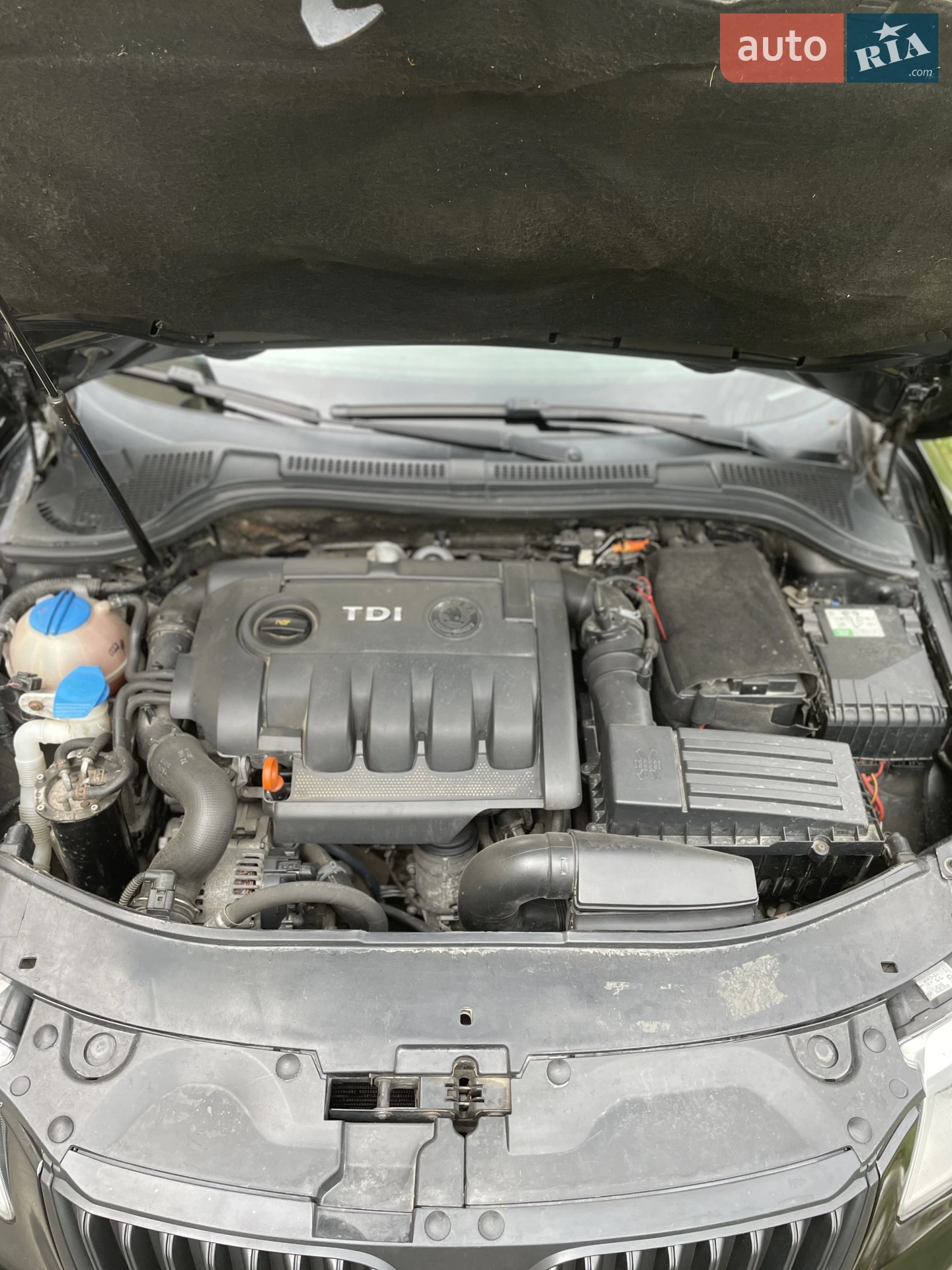 2010 Skoda Superb - мініатюра 4