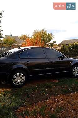 Универсал Skoda Superb 2008 в Новых Санжарах