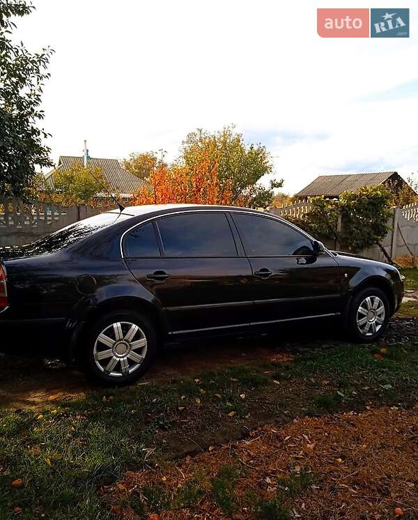 Универсал Skoda Superb 2008 в Новых Санжарах фото Универсал Skoda Superb 2008 в Новых Санжарах