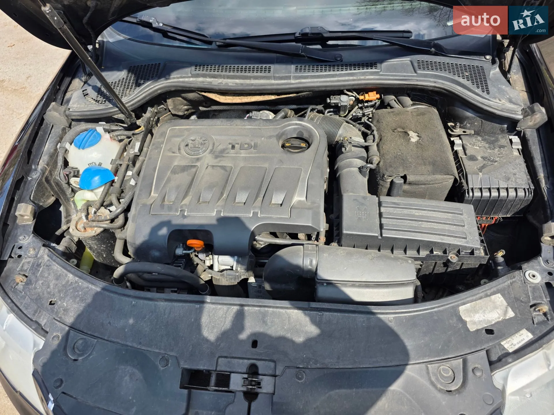 2010 Skoda Superb - мініатюра 2