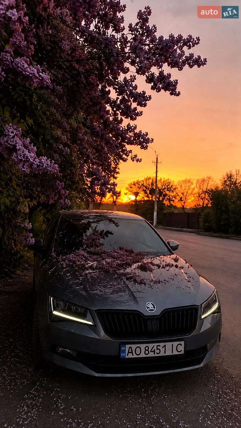 2017 Skoda Superb - мініатюра 10
