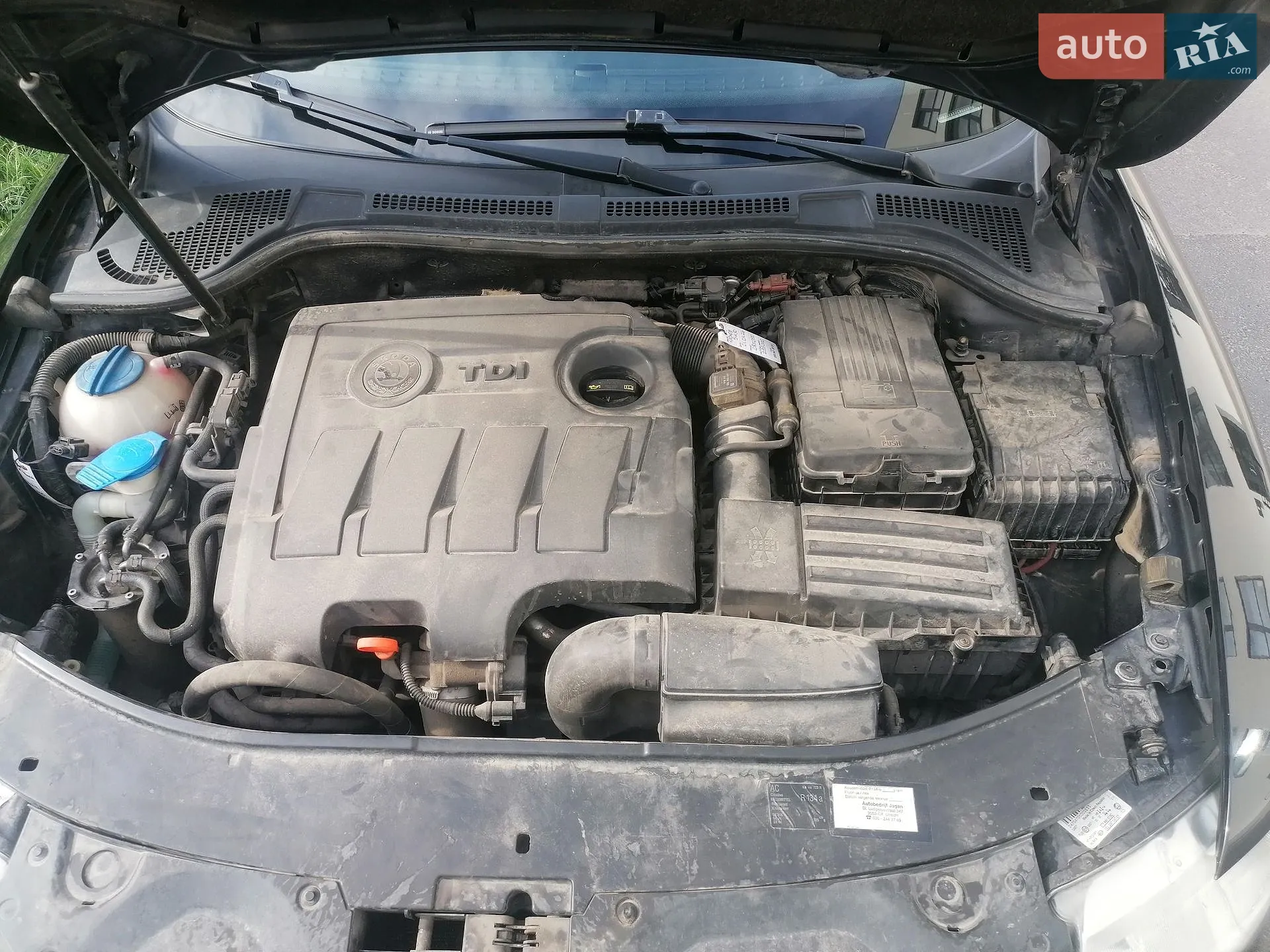 2011 Skoda Superb - мініатюра 3