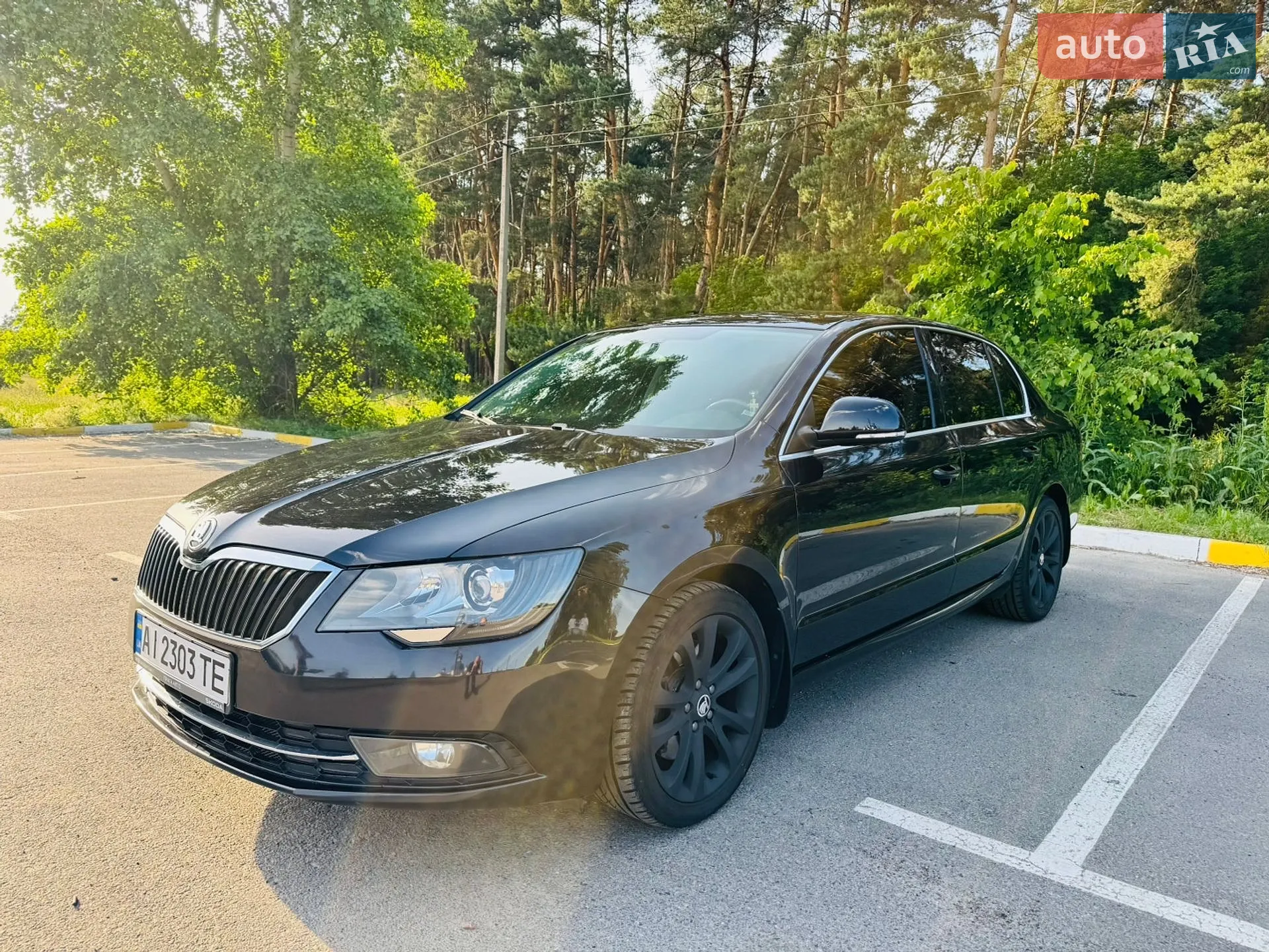 2013 Skoda Superb - мініатюра 2