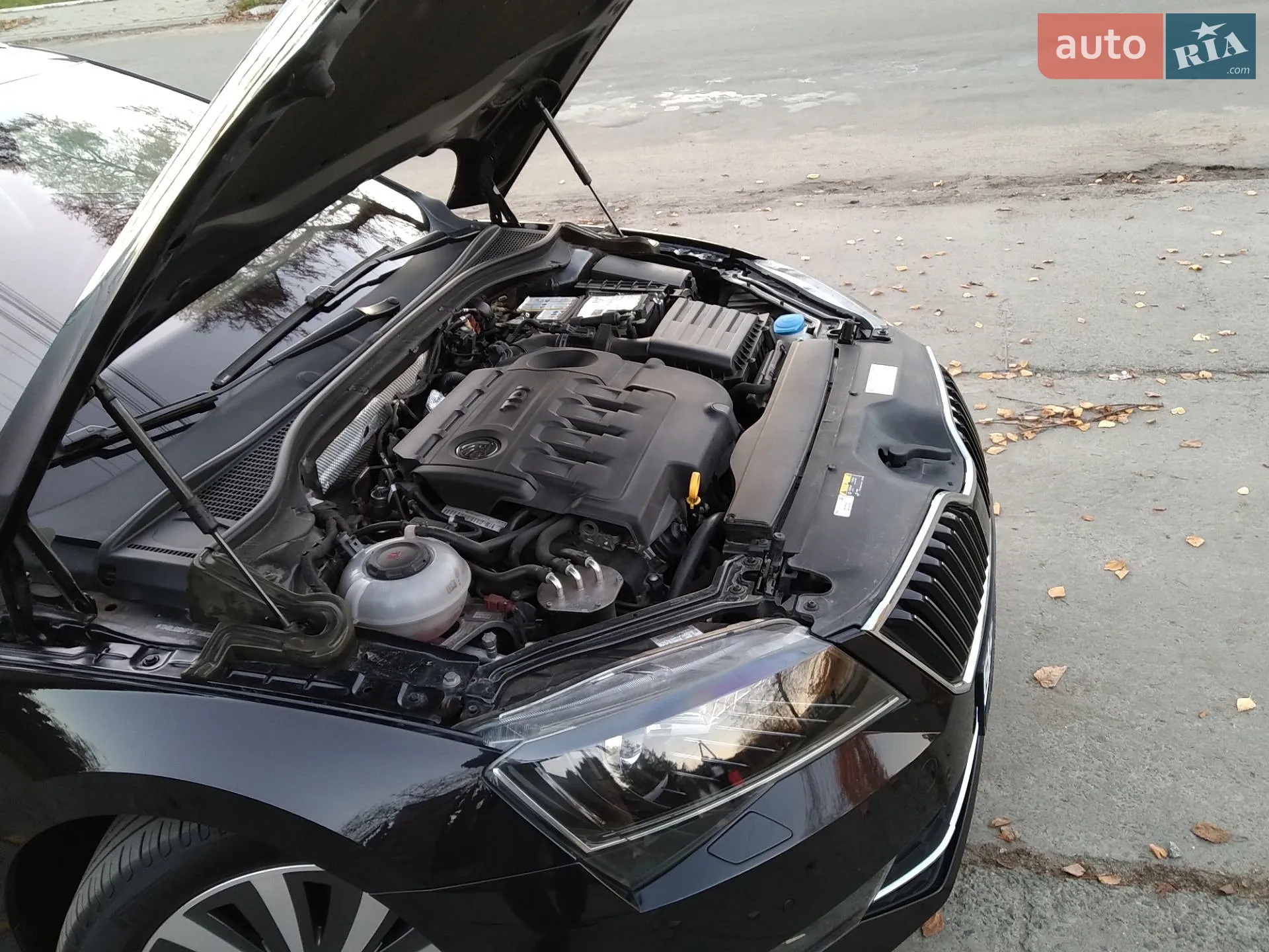 2018 Skoda Superb - мініатюра 204