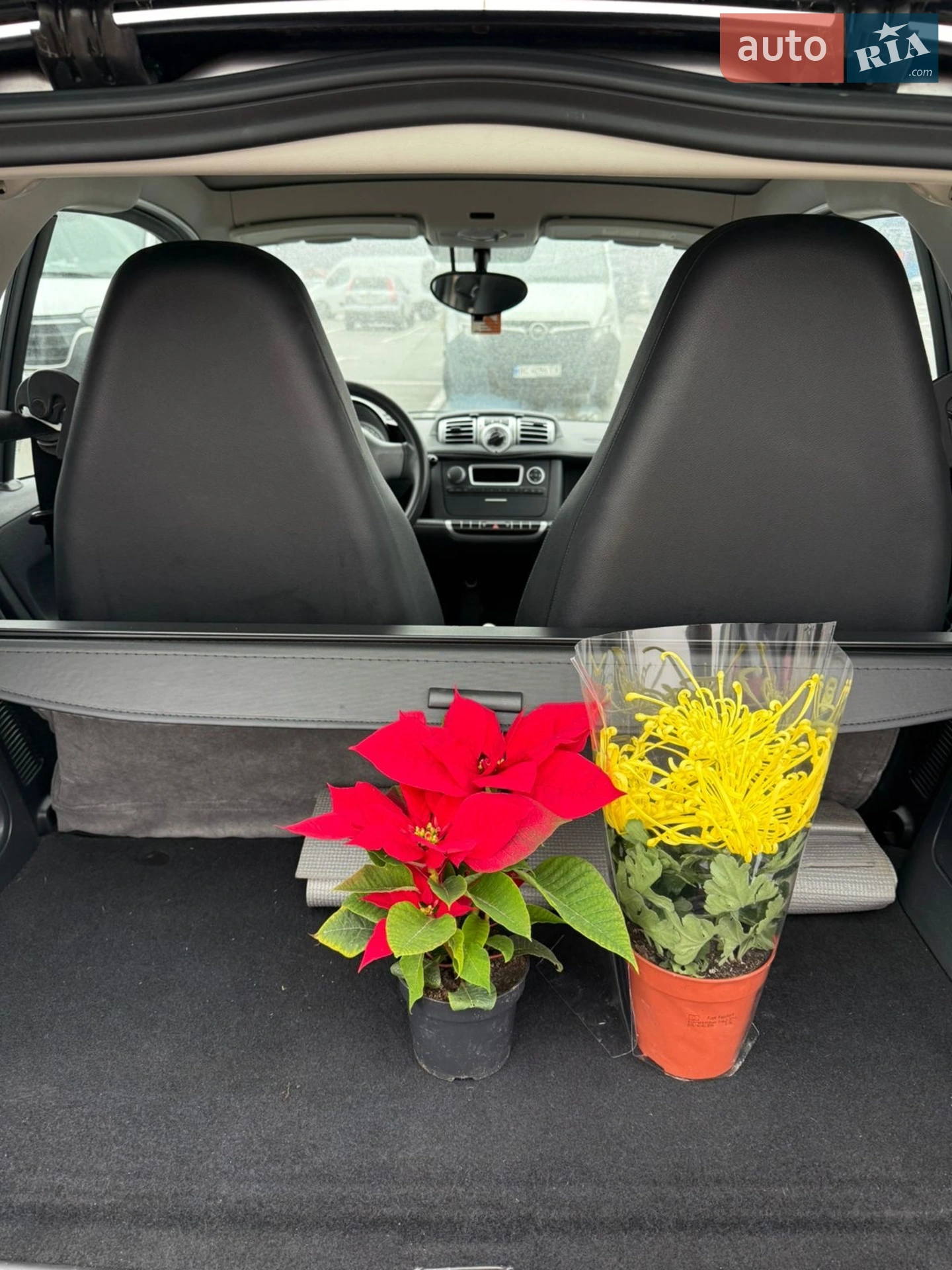 2012 Smart Fortwo - мініатюра 11