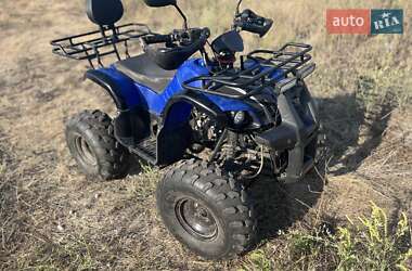 Квадроцикл  утилитарный Spark SP 125 2022 в Днепре