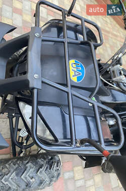Квадроцикл утилітарний Spark SP 250T-5 2019 в 
