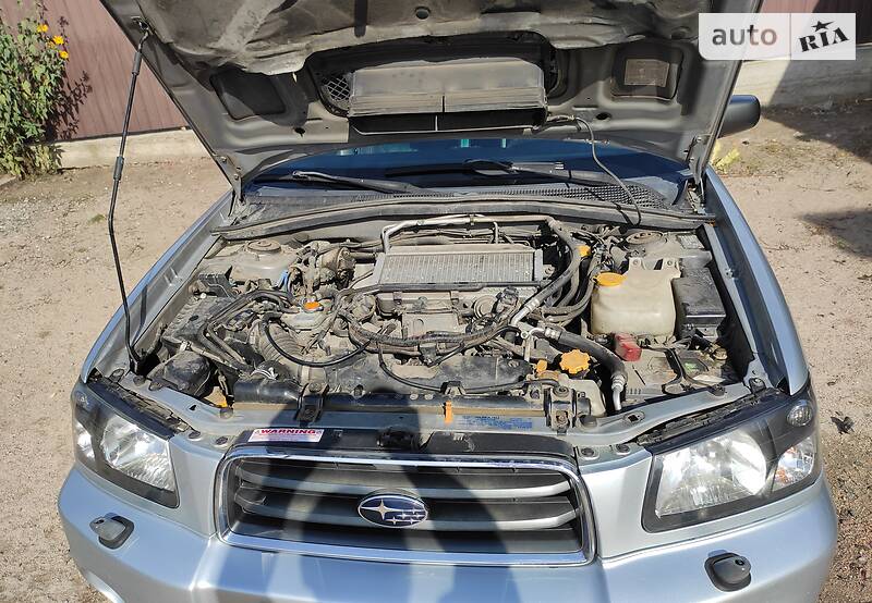 Внедорожник / Кроссовер Subaru Forester 2004 в Одессе