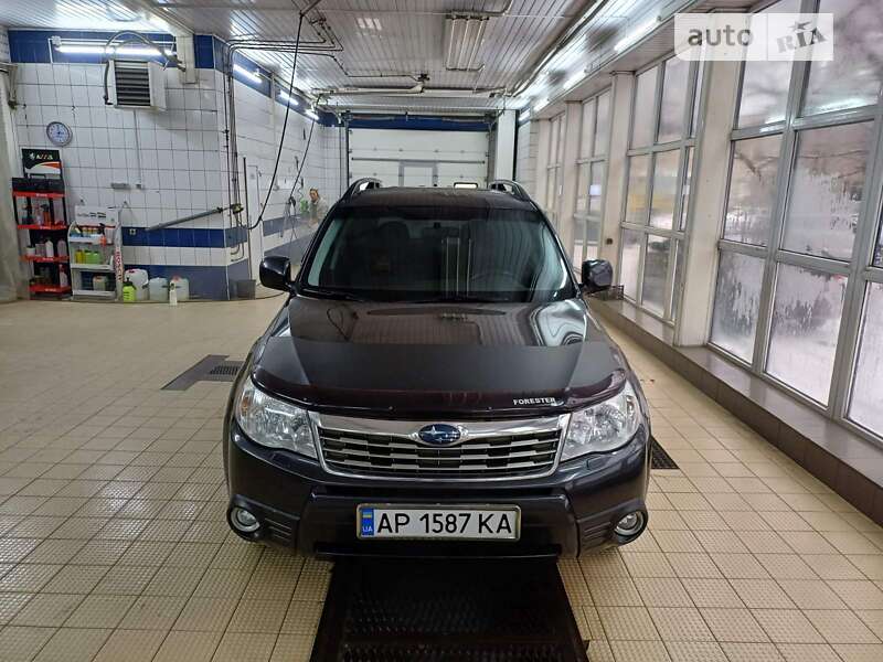 Внедорожник / Кроссовер Subaru Forester 2008 в Запорожье