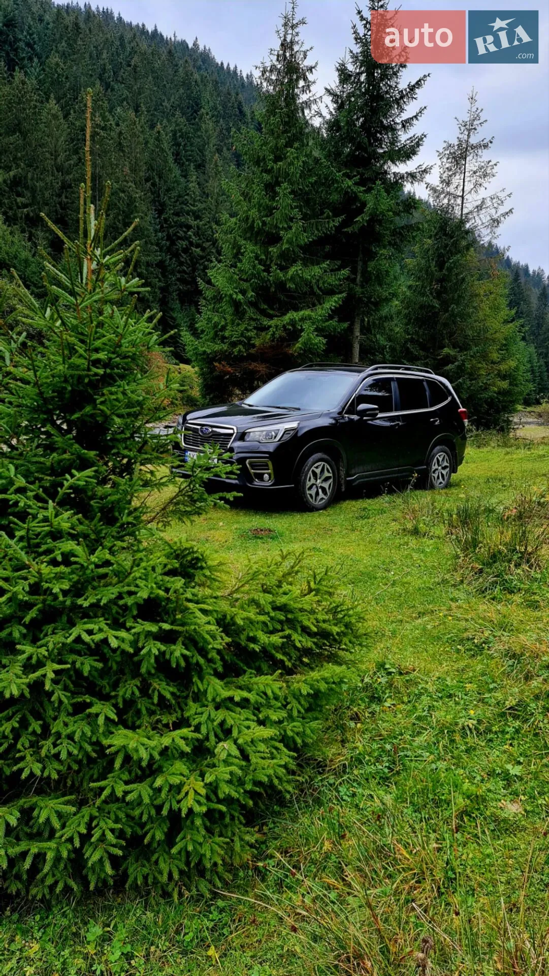 2018 Subaru Forester - мініатюра 41