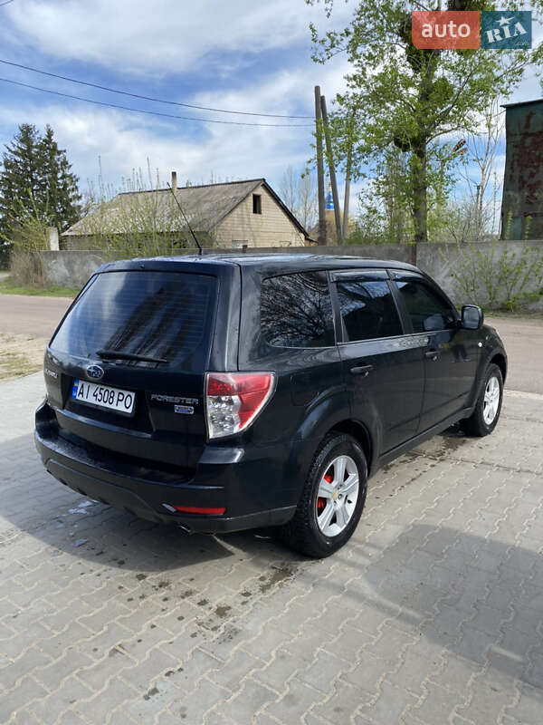 Внедорожник / Кроссовер Subaru Forester 2009 в Бородянке