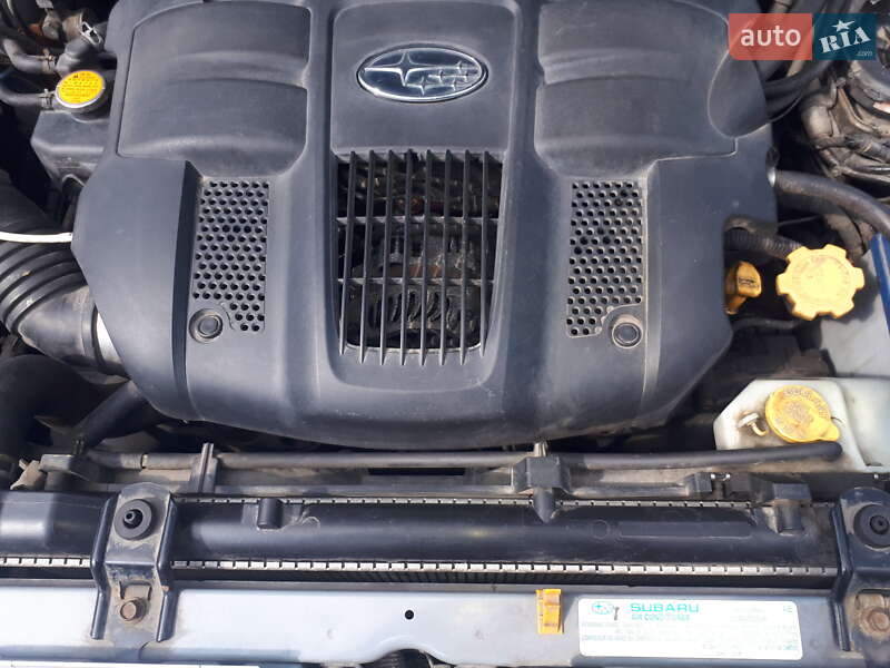 Внедорожник / Кроссовер Subaru Forester 2006 в Киеве