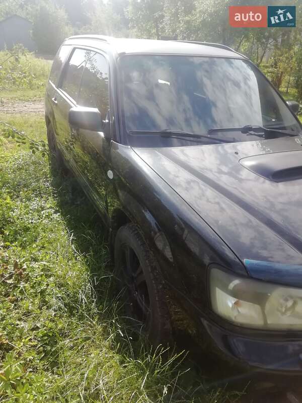 Внедорожник / Кроссовер Subaru Forester 2003 в Трускавце фото 11 Внедорожник / Кроссовер Subaru Forester 2003 в Трускавце