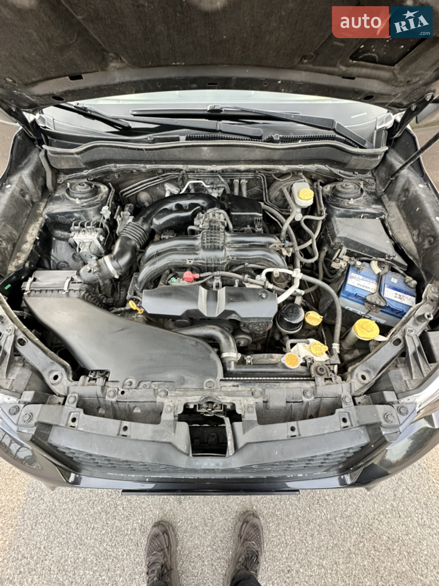 2014 Subaru Forester - мініатюра 18