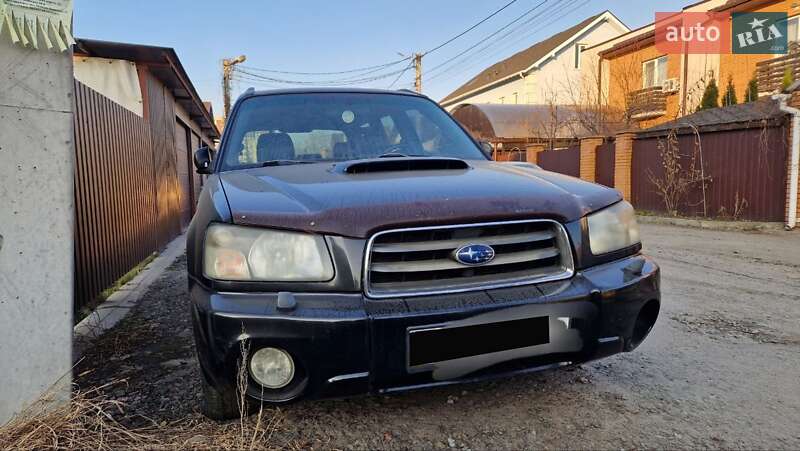 Внедорожник / Кроссовер Subaru Forester 2005 в Вишневом фото 5 Внедорожник / Кроссовер Subaru Forester 2005 в Вишневом