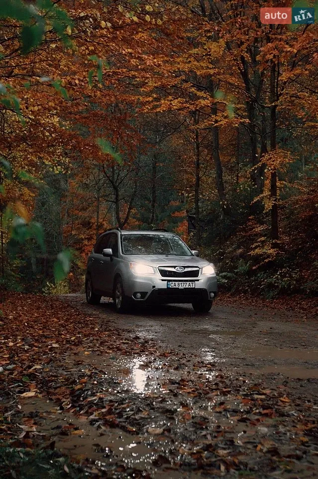 2013 Subaru Forester - мініатюра 23