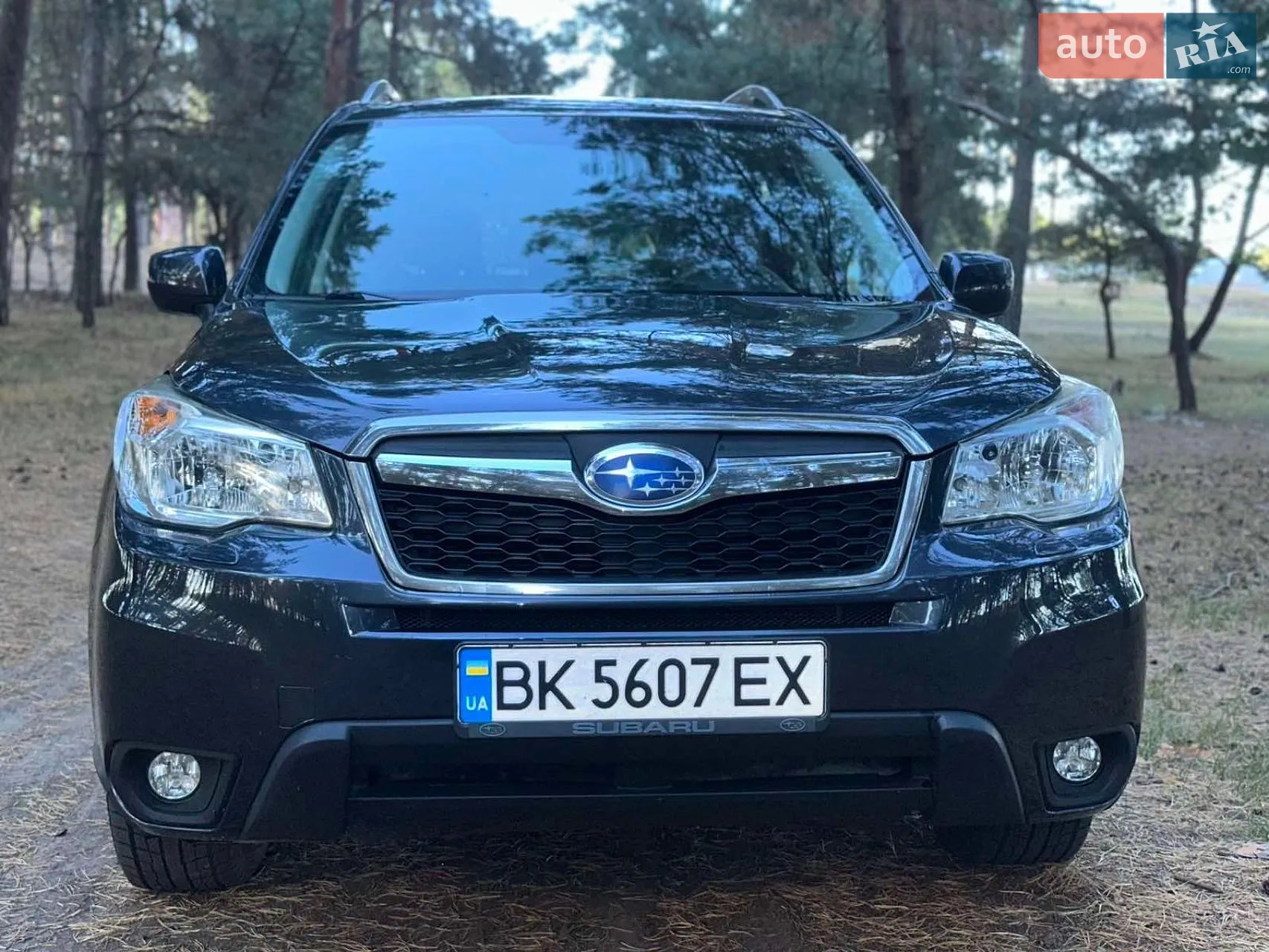 2013 Subaru Forester - фото 1