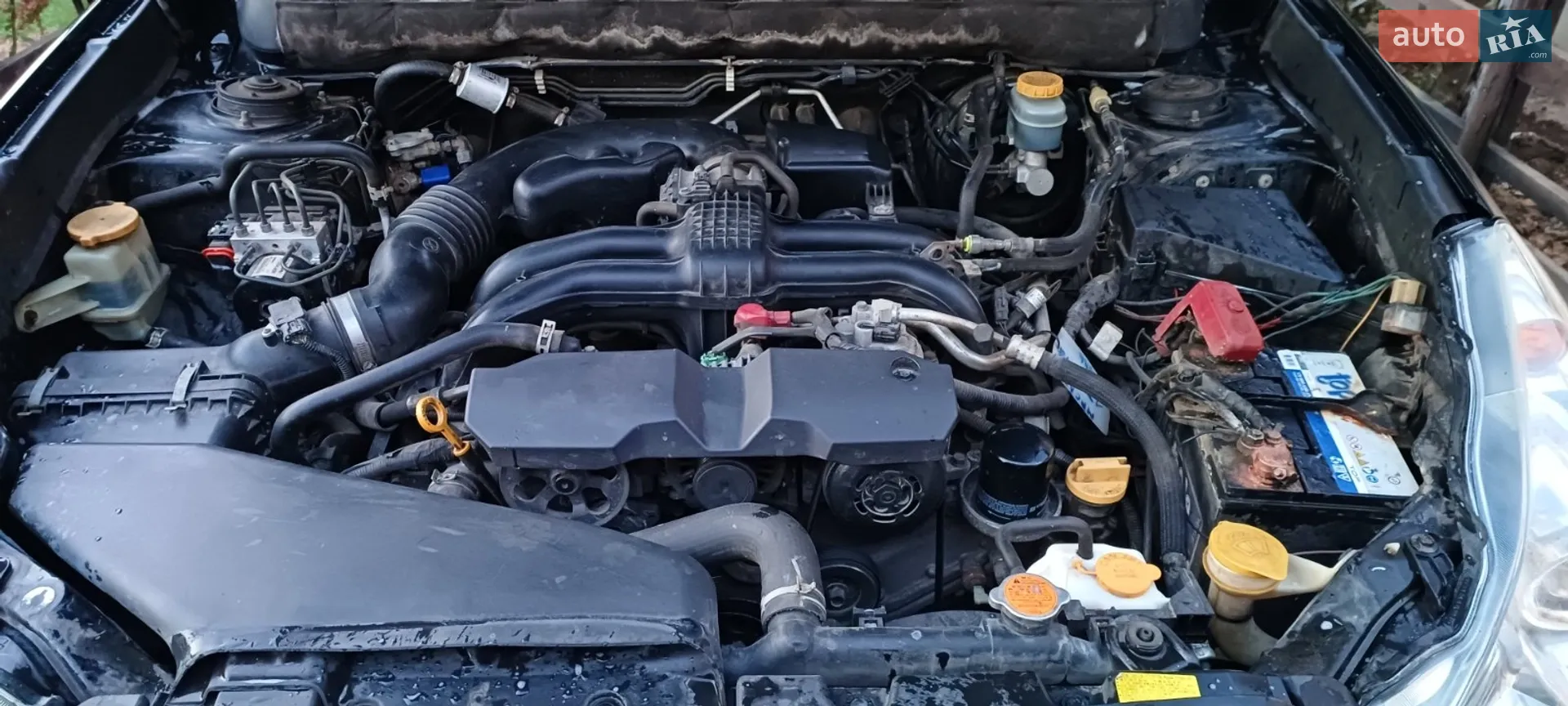 2014 Subaru Legacy - мініатюра 20