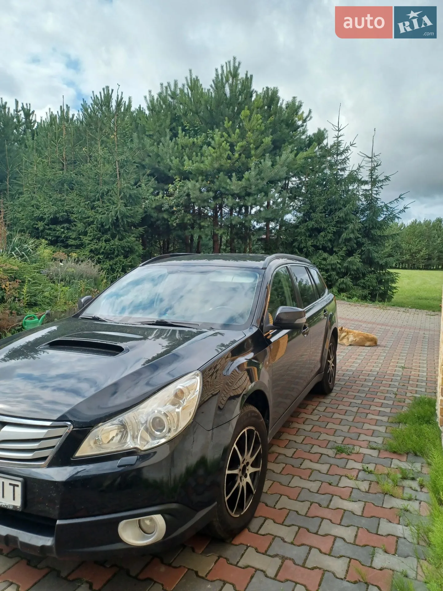 2012 Subaru Outback - мініатюра 6