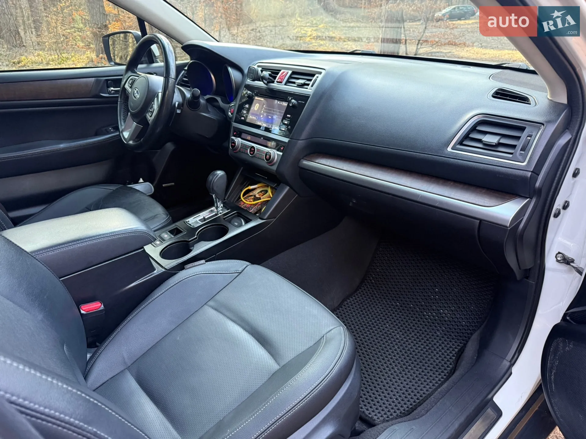 2016 Subaru Outback - мініатюра 13
