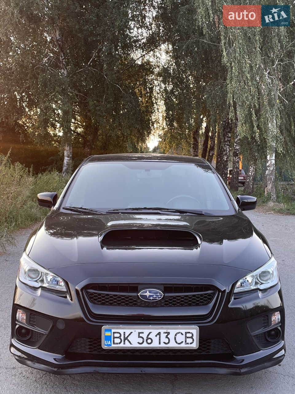 2014 Subaru WRX - мініатюра 15