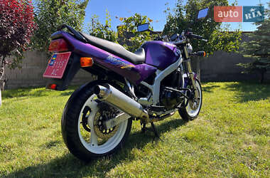 Мотоцикл Без обтекателей (Naked bike) Suzuki GS 500E 1994 в Луцке