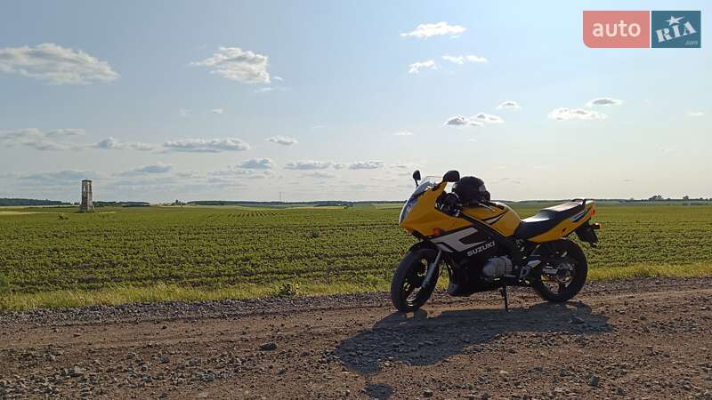 Мотоцикл Спорт-туризм Suzuki GS 500F 2006 в 