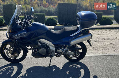 Мотоцикл Туризм Suzuki V-Strom 1000 2002 в Дніпрі