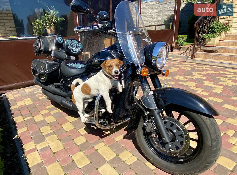 Мотоцикл Круизер Suzuki VL 800 Intruder 2014 в Запорожье