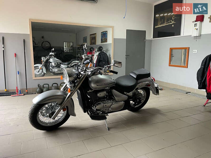 Suzuki VL 800 2019