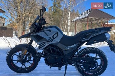 Картинг Tekken 250 2024 в Пулинах