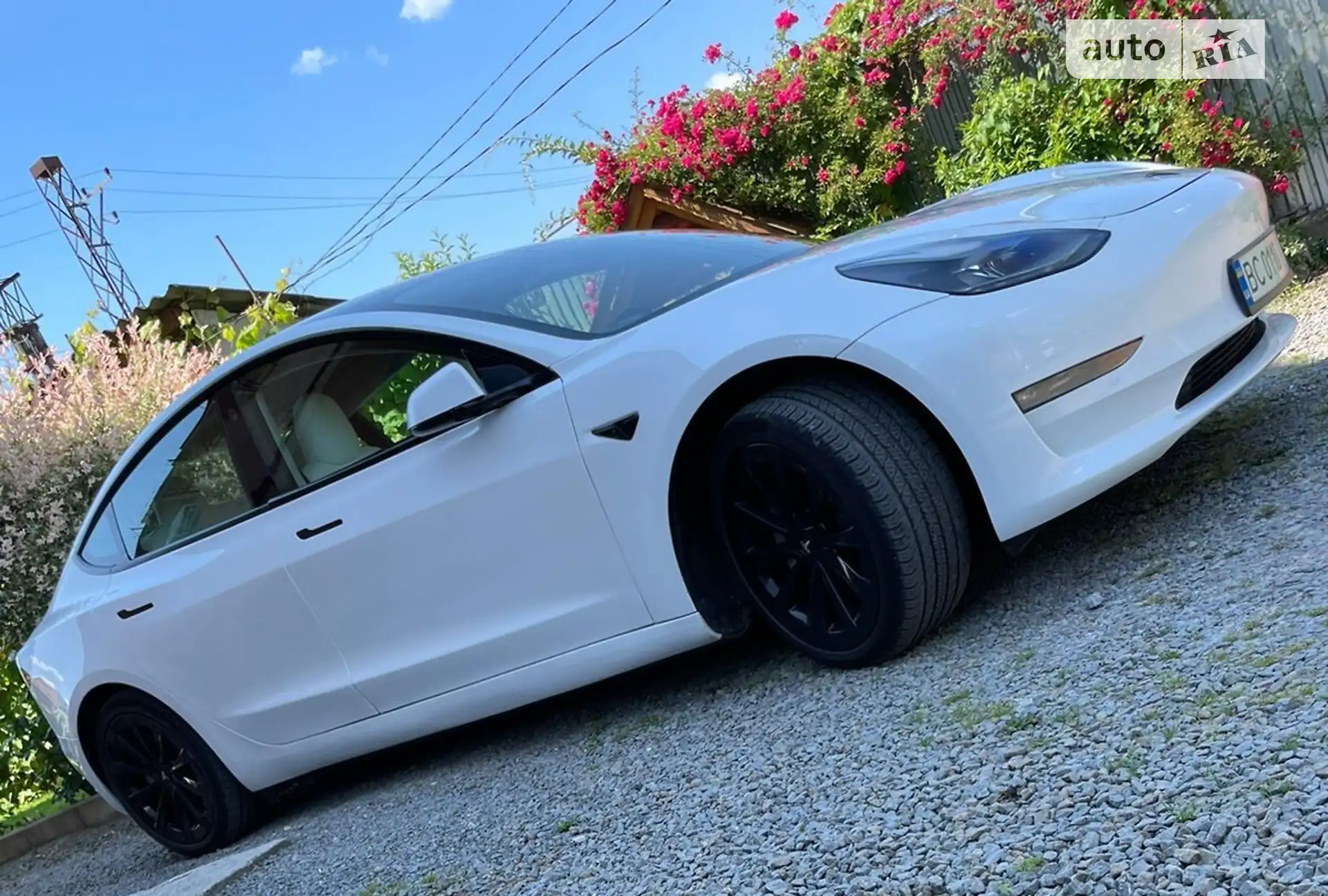 2021 Tesla Model 3 - мініатюра 19