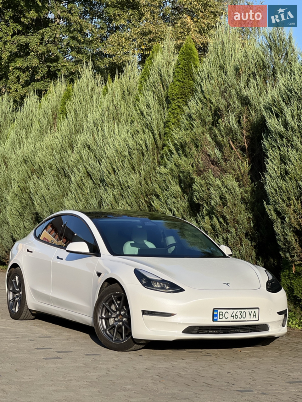2020 Tesla Model 3 - мініатюра 7