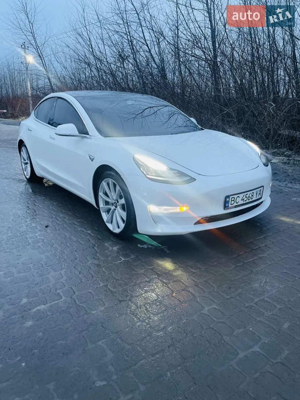 2021 Tesla Model 3 - мініатюра 14