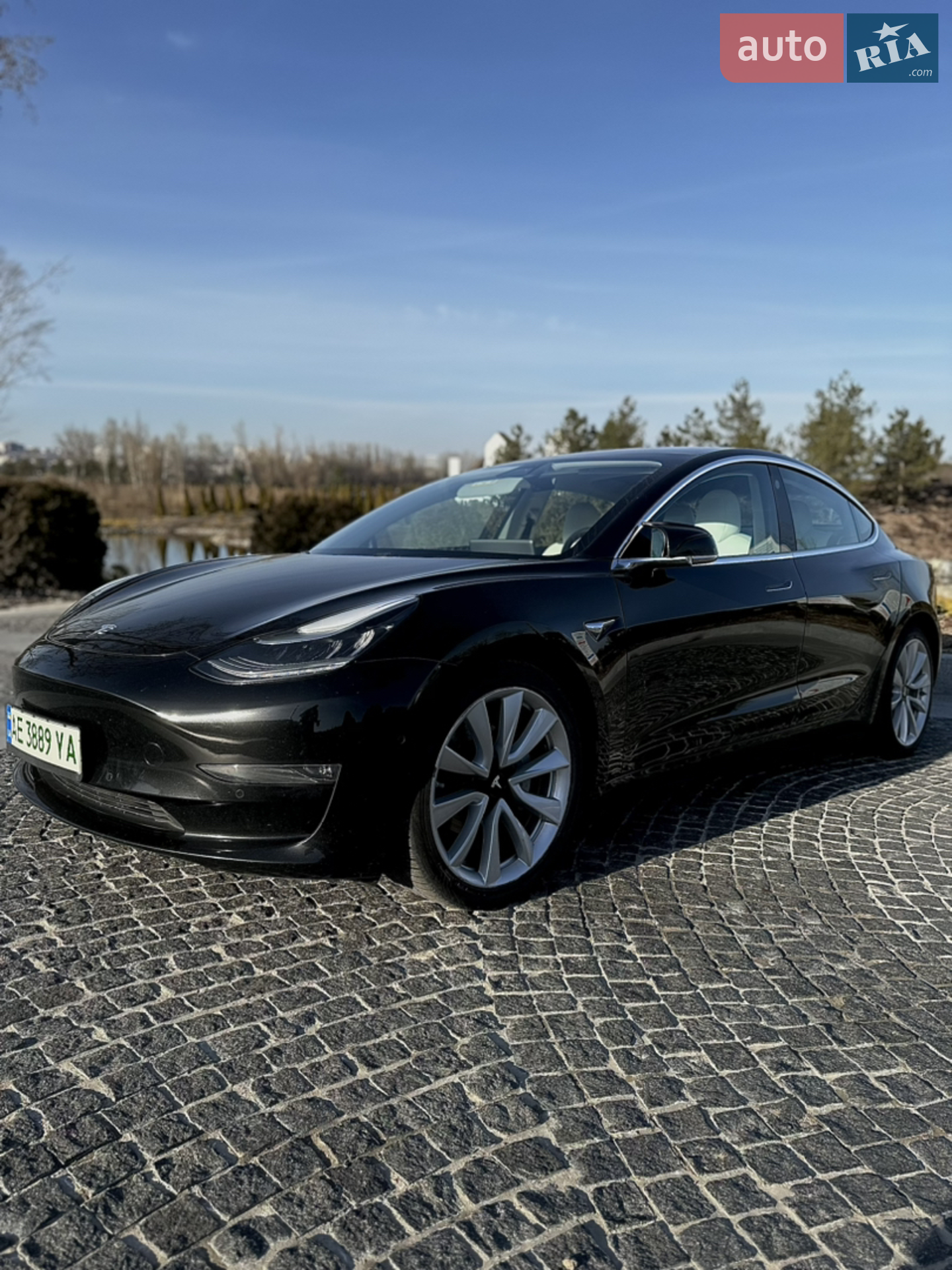 2019 Tesla Model 3 - мініатюра 4