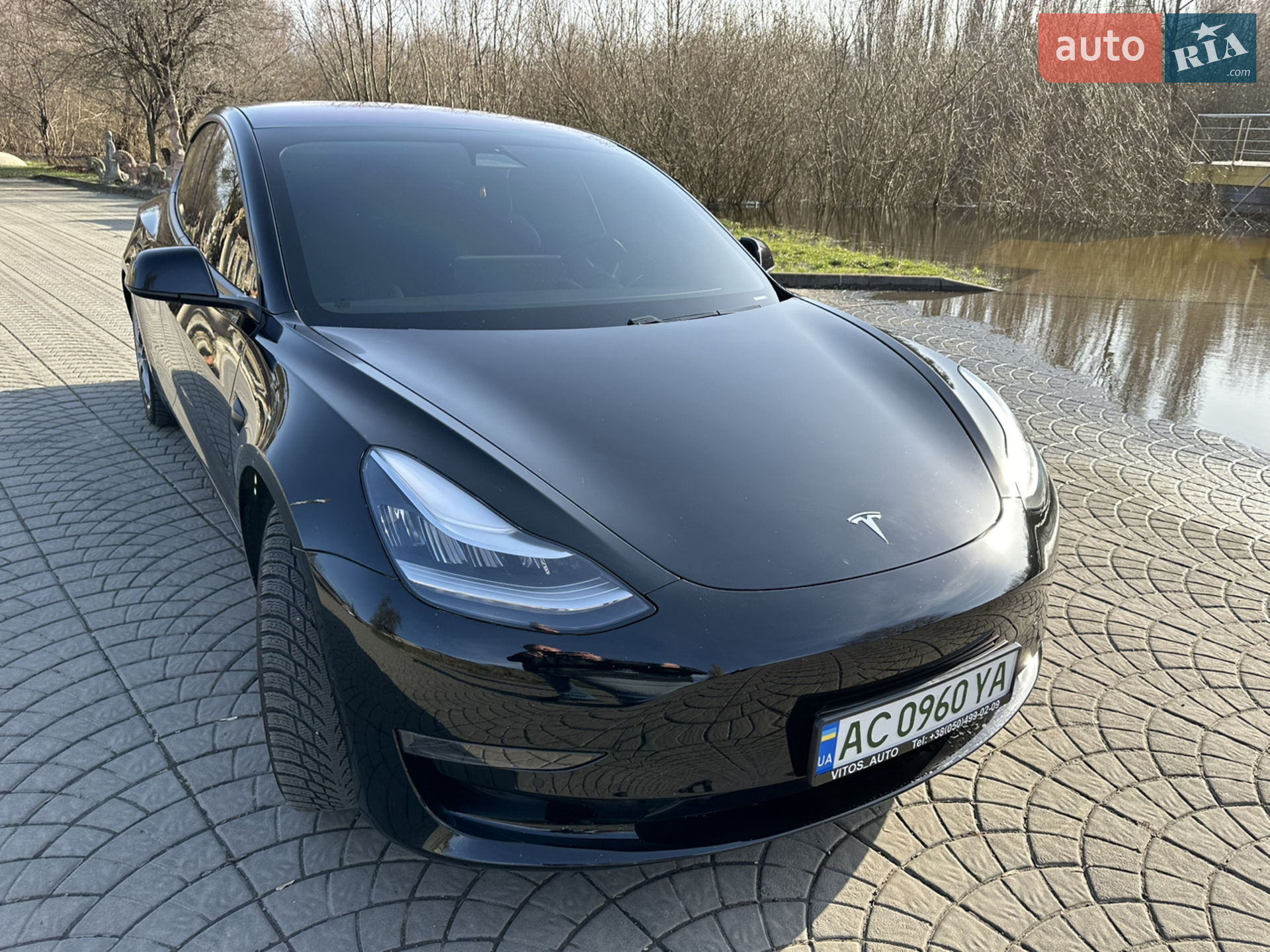 2019 Tesla Model 3 - мініатюра 2