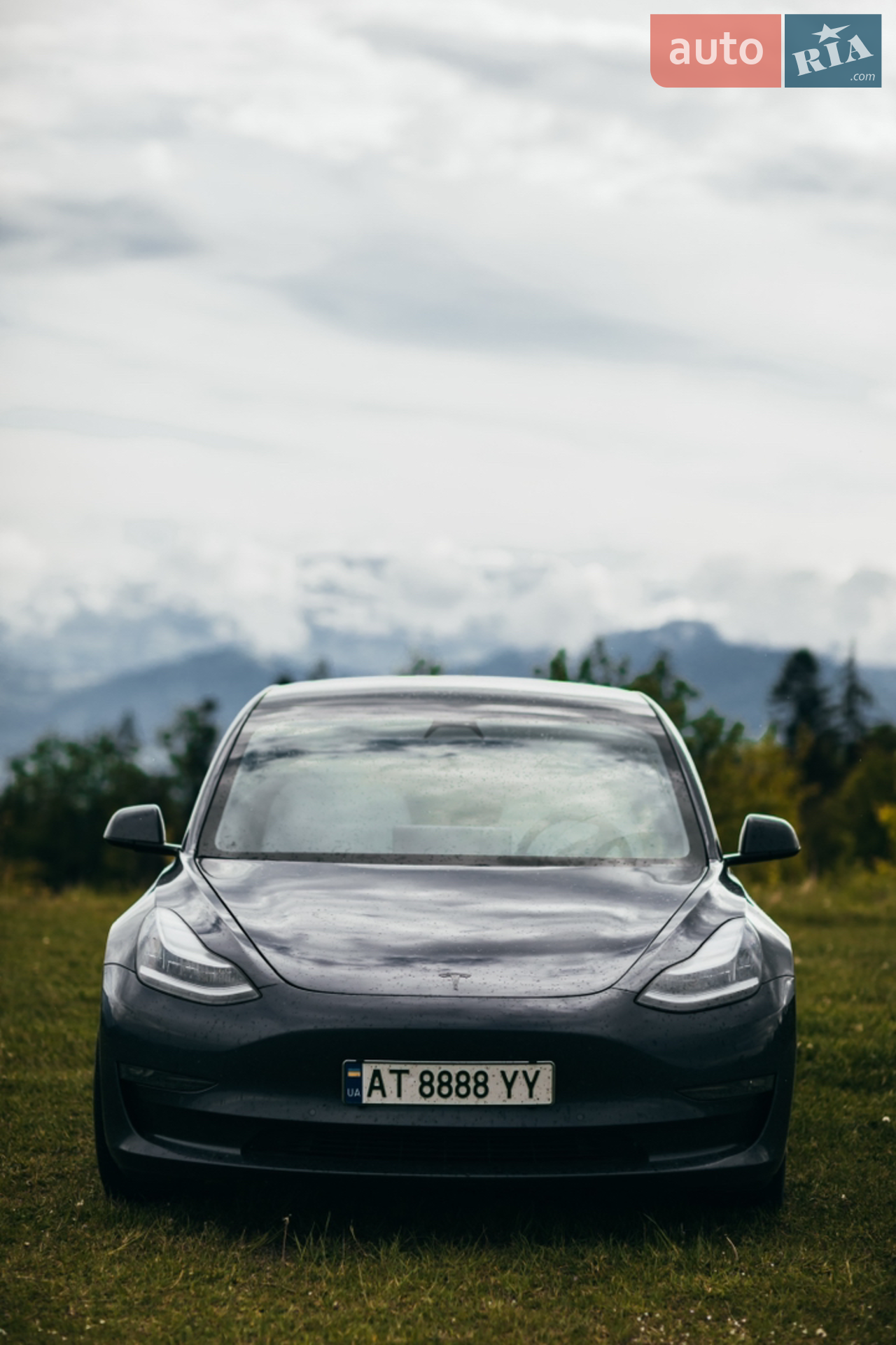 2020 Tesla Model 3 - мініатюра 6