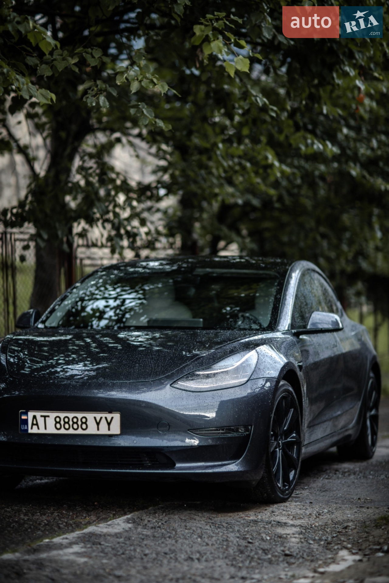 2020 Tesla Model 3 - мініатюра 25