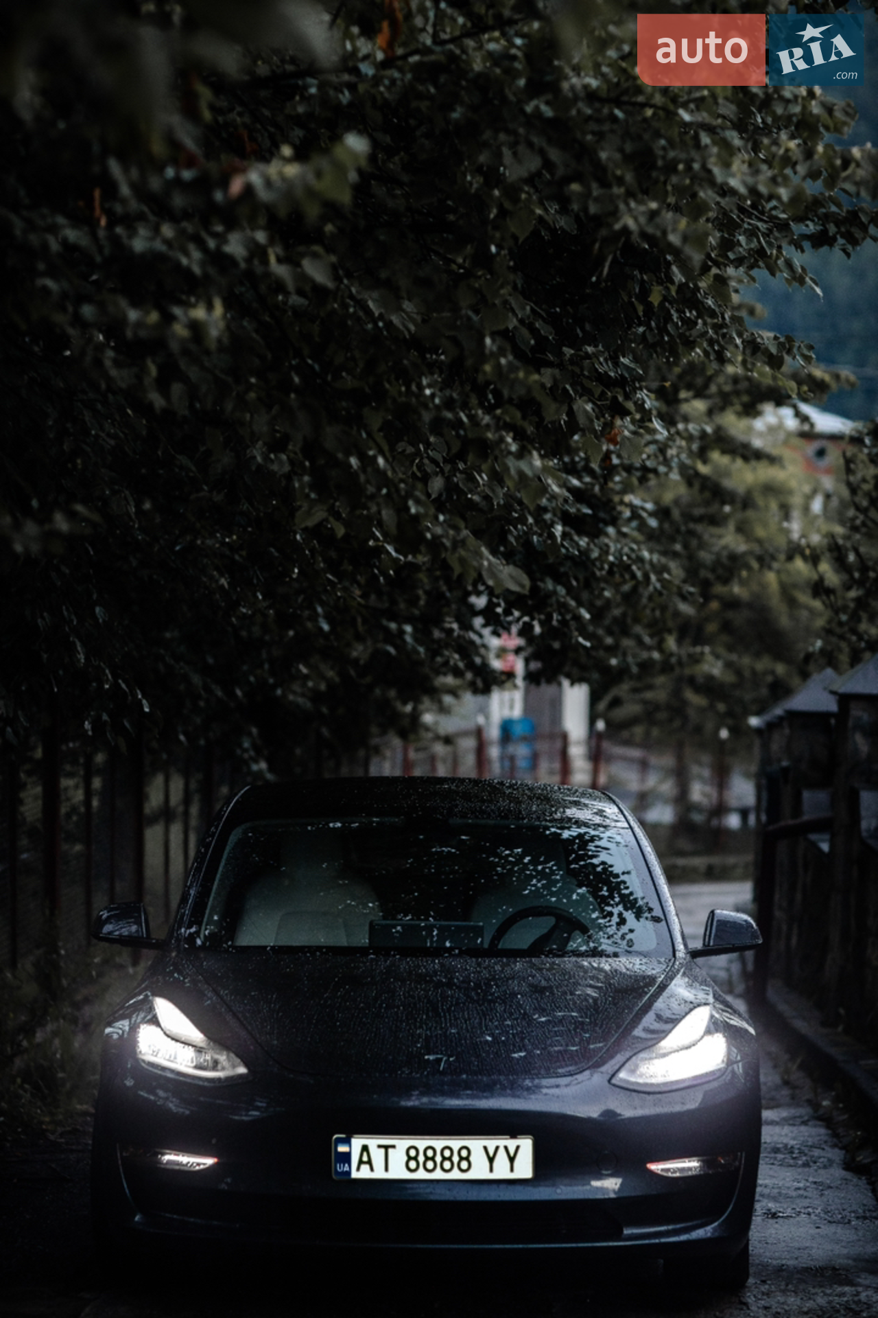 2020 Tesla Model 3 - мініатюра 38