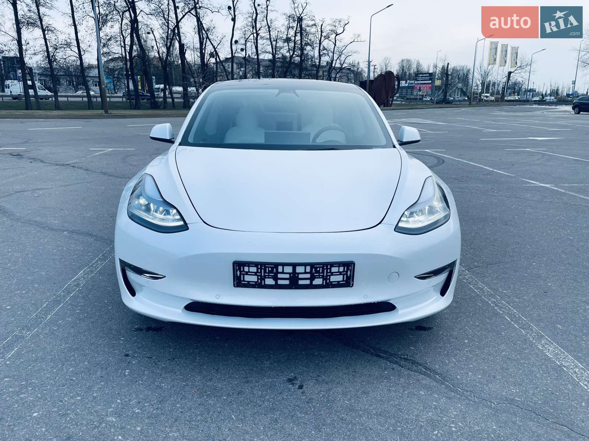 2021 Tesla Model 3 - мініатюра 11