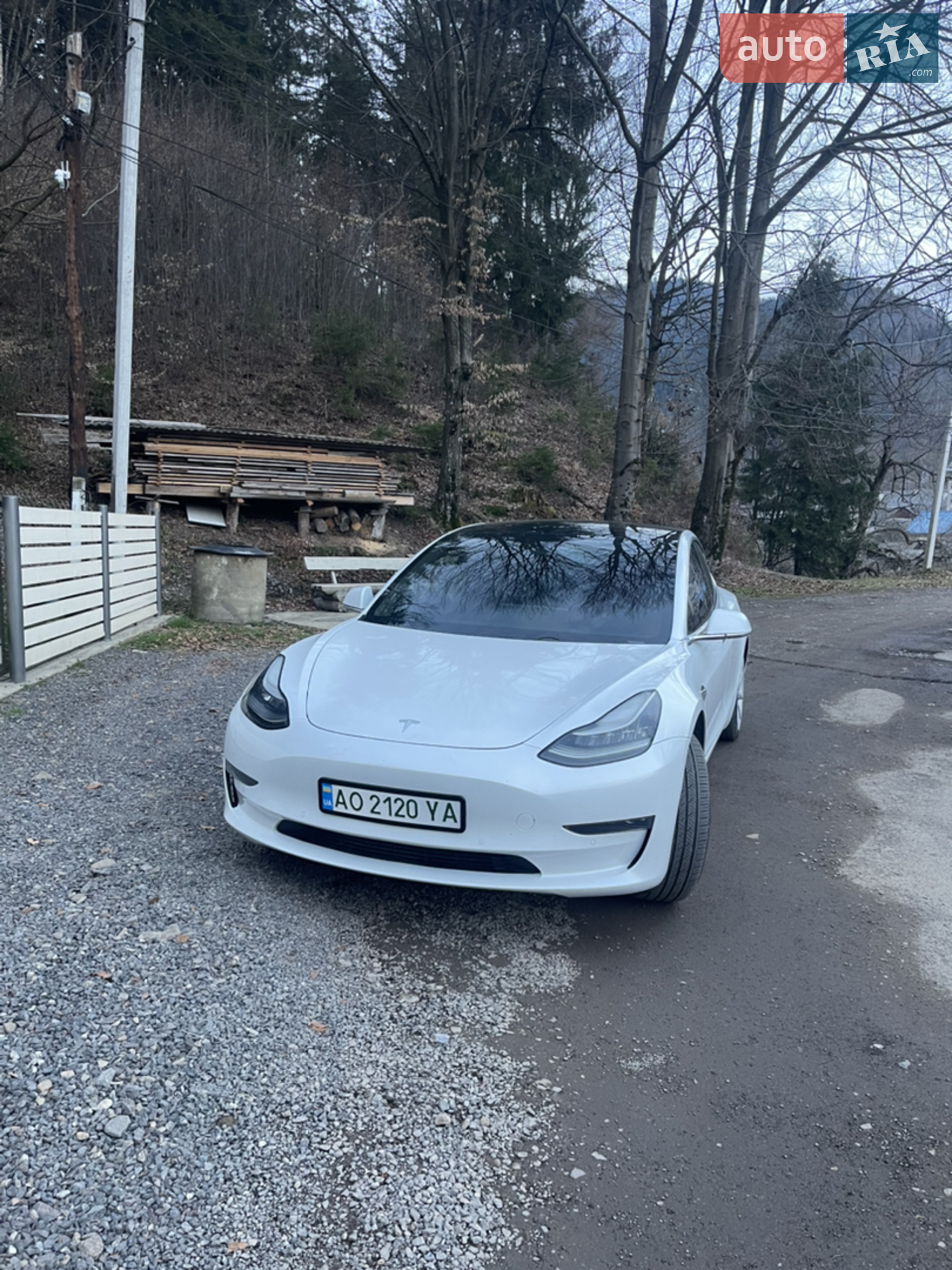 2019 Tesla Model 3 - мініатюра 2
