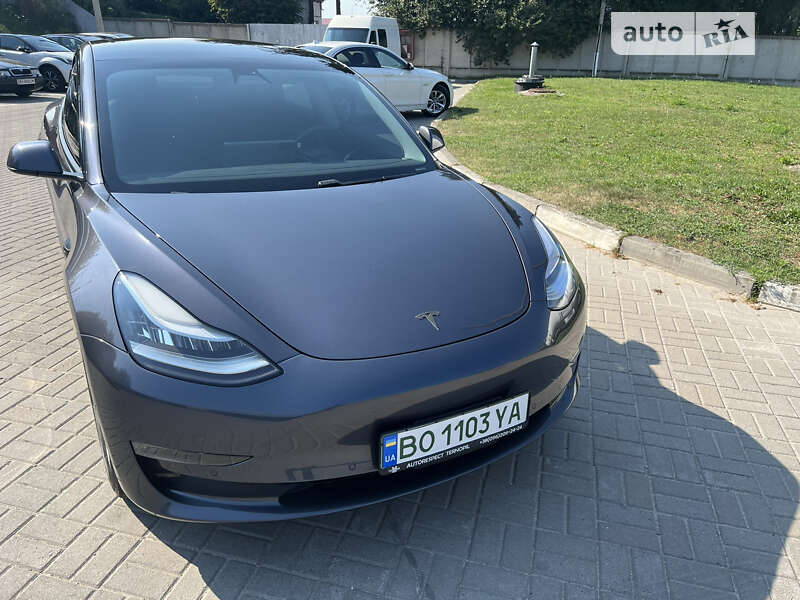 Tesla Model 3 2019