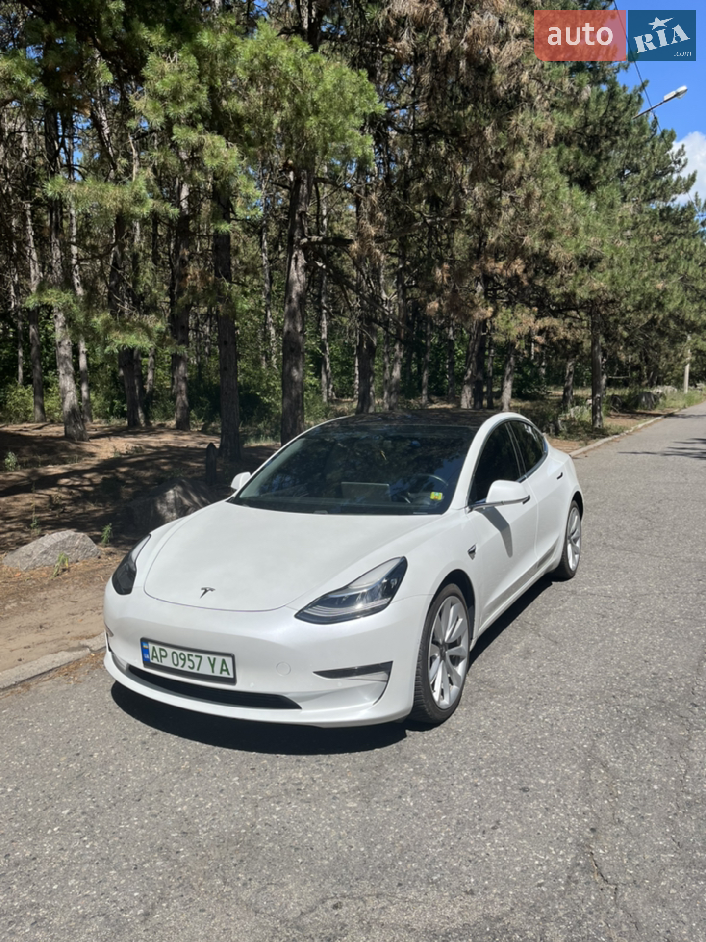 2019 Tesla Model 3 - мініатюра 2