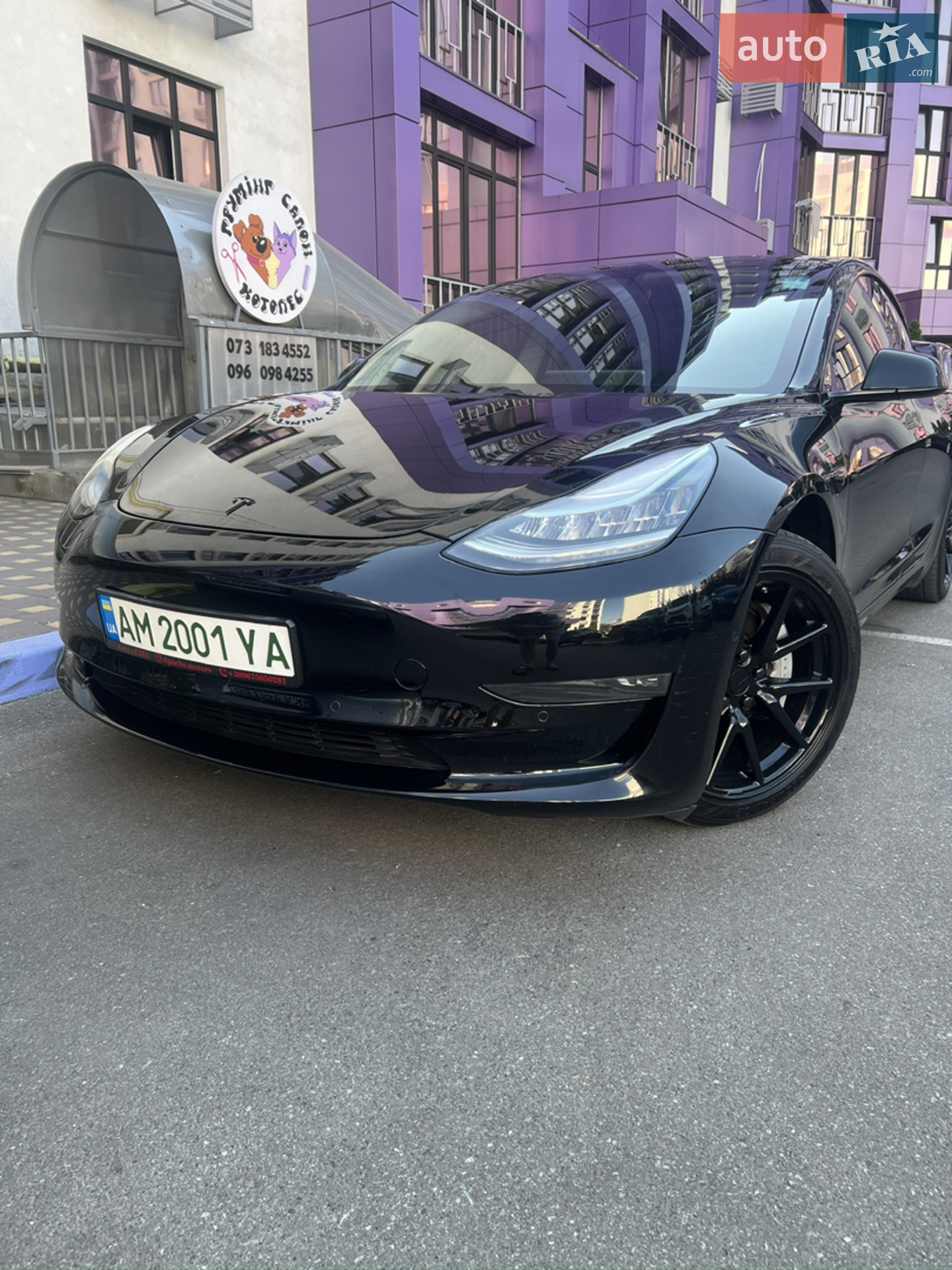 2019 Tesla Model 3 - фото 1