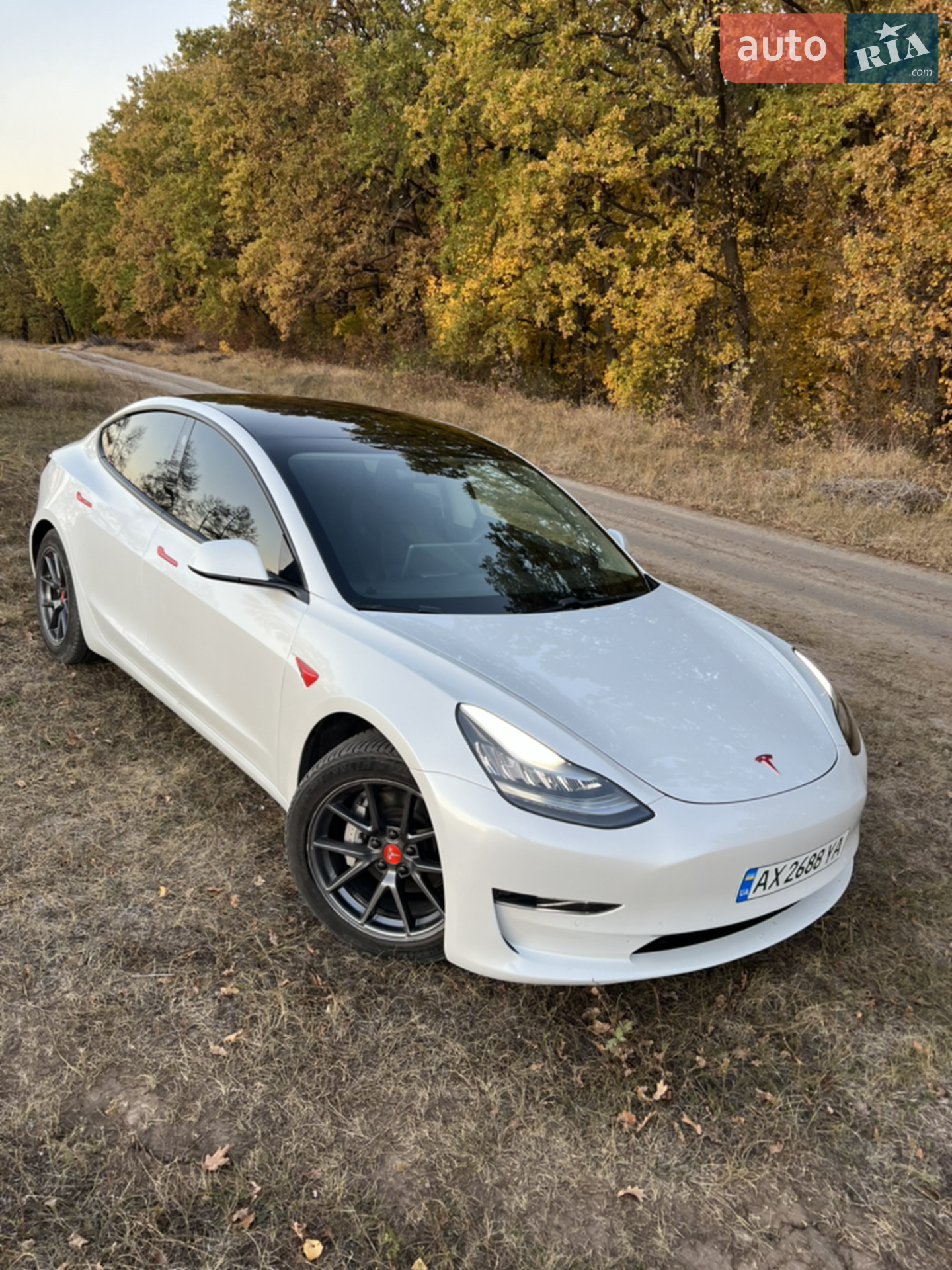2020 Tesla Model 3 - фото 1