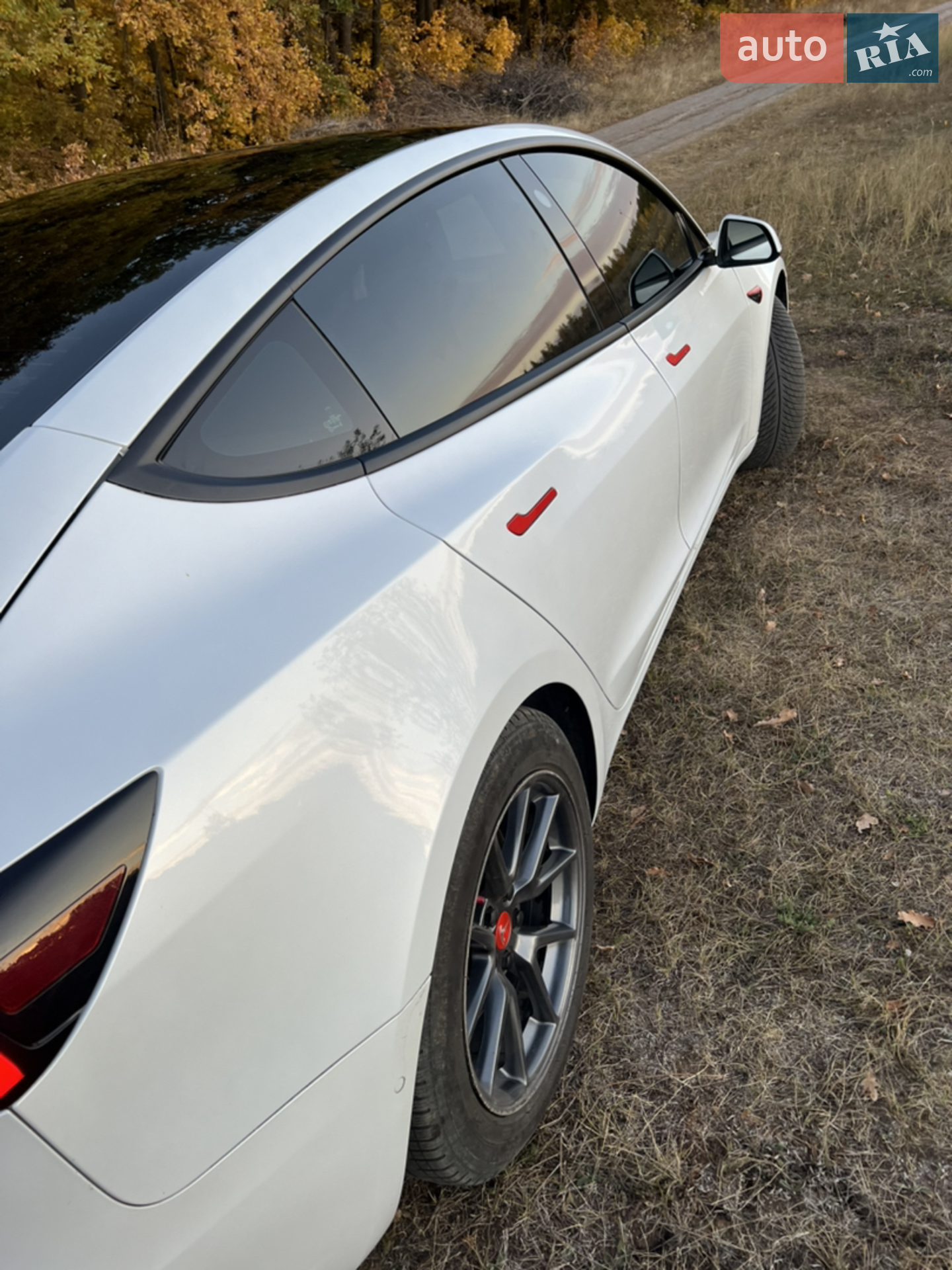 2020 Tesla Model 3 - мініатюра 11